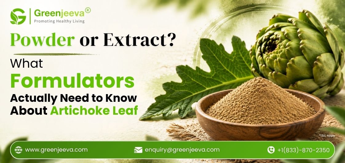 Artichoke Leaf Powder vs. Extract: Understanding the Differences